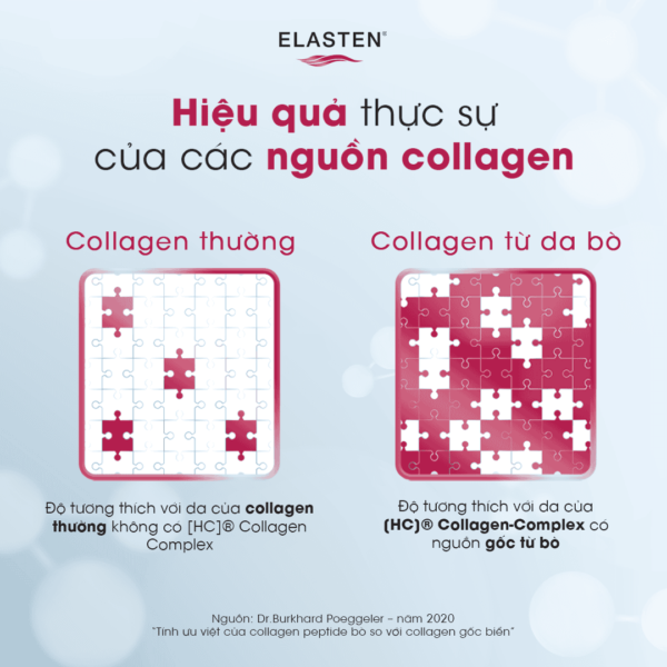 So sánh hiệu quả của Collagen Elasten với Collagen thông thường