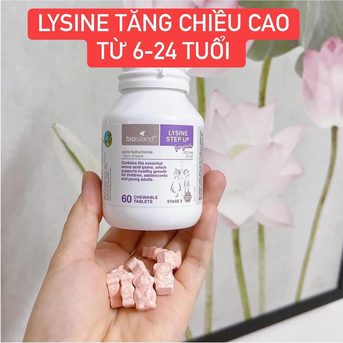 Lysine Bio Island Step Up dạng viên