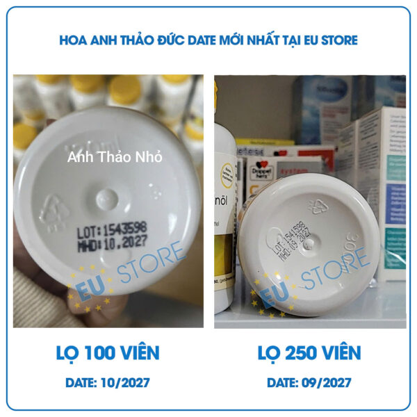 Tinh dầu hoa anh thảo Đức Warnke 500mg 100v & 250v chính hãng date mới nhất