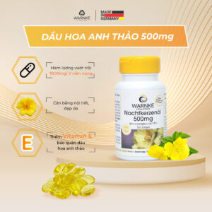 Thành phần trong viên uống Hoa anh thảo Đức Warnke 500mg lọ 100 viên & 250 viên