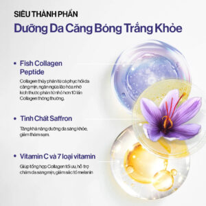 Thành phần và công dụng của bột uống Collagen Gilaa | EU Store