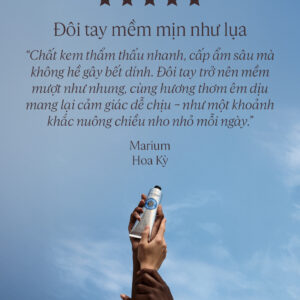 [Mẫu mới] Kem dưỡng tay L'Occitane Shea Butter - 20% Bơ Hạt Mỡ cho da khô nứt nẻ | eustore.com.vn