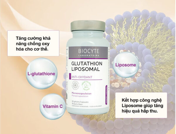 Thành phần trong viên uống Glutathion Liposomal Biocyte