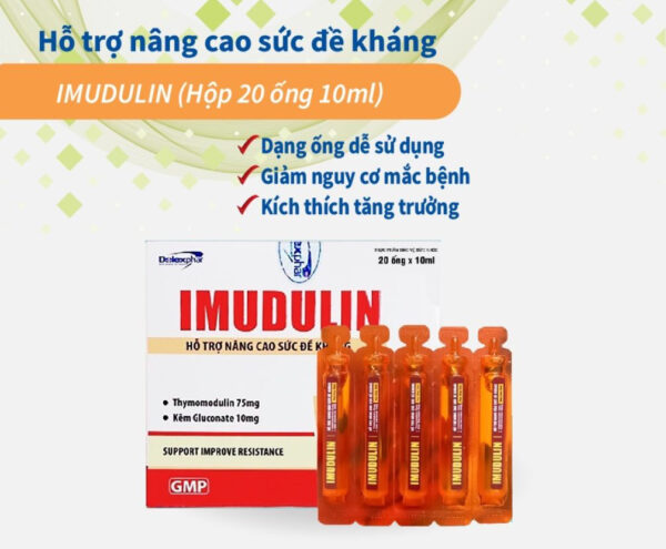 Công dụng của Imudulin hộp 20 ống - Tăng sức đề kháng, phòng các bệnh về hô hấp | eustore.com.vn