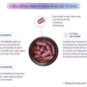 Thành phần trong men vi sinh Lactobact Intima | eustore.com.vn