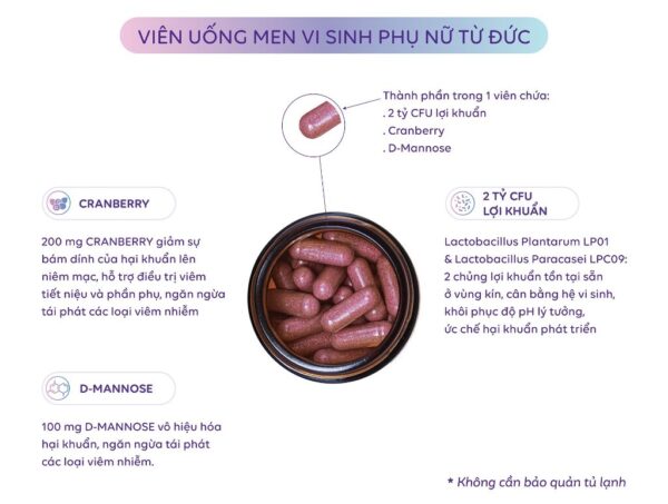 Thành phần trong men vi sinh Lactobact Intima | eustore.com.vn