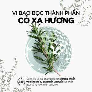Thành phần trong dung dịch vệ sinh Rogé Cavaillès L’Intime Antibactérien 250ml – Kháng khuẩn, 97% thiên nhiên làm sạch dịu nhẹ | eustore.com.vn