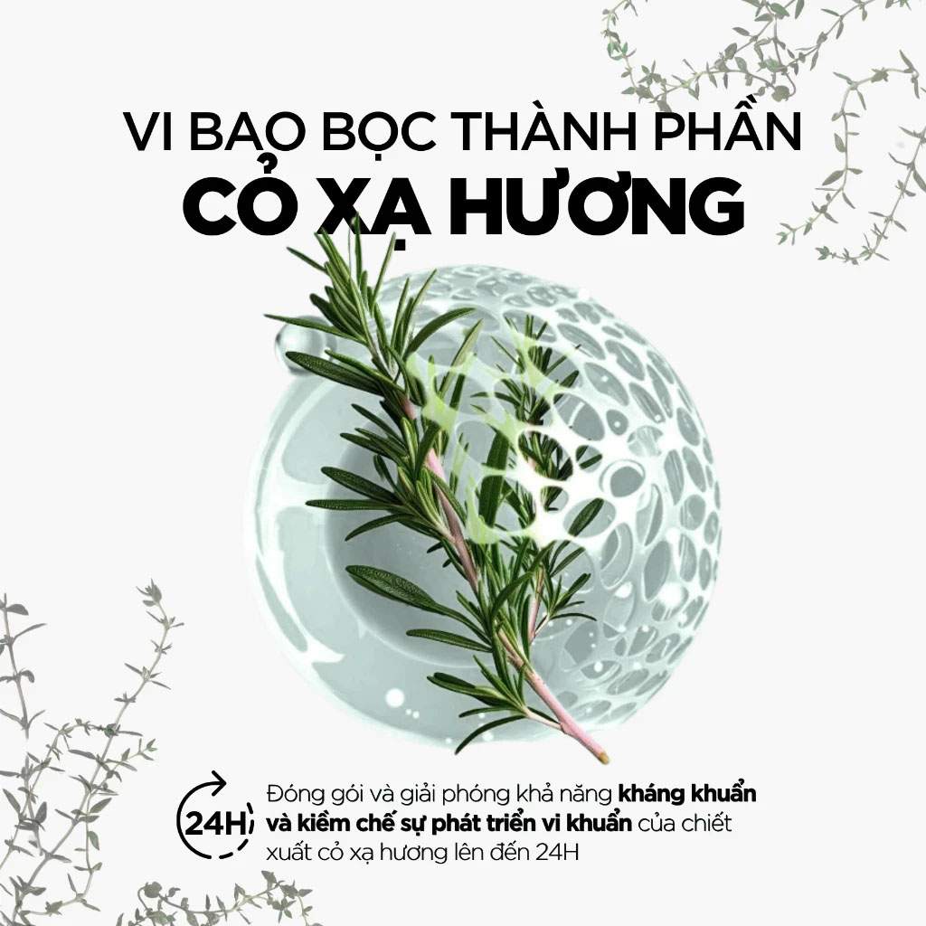 Thành phần trong dung dịch vệ sinh Rogé Cavaillès L’Intime Antibactérien 250ml – Kháng khuẩn, 97% thiên nhiên làm sạch dịu nhẹ | eustore.com.vn