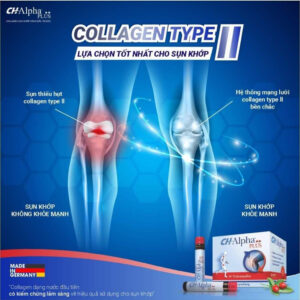 CH-Alpha Plus Collagen Đức – Giảm đau nhức, tái tạo và bảo vệ sụn khớp | eustore.com.vn