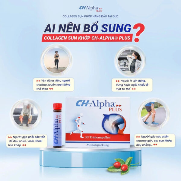 Ai nên uống CH-Alpha Plus Collagen Đức – Giảm đau nhức, tái tạo và bảo vệ sụn khớp | eustore.com.vn