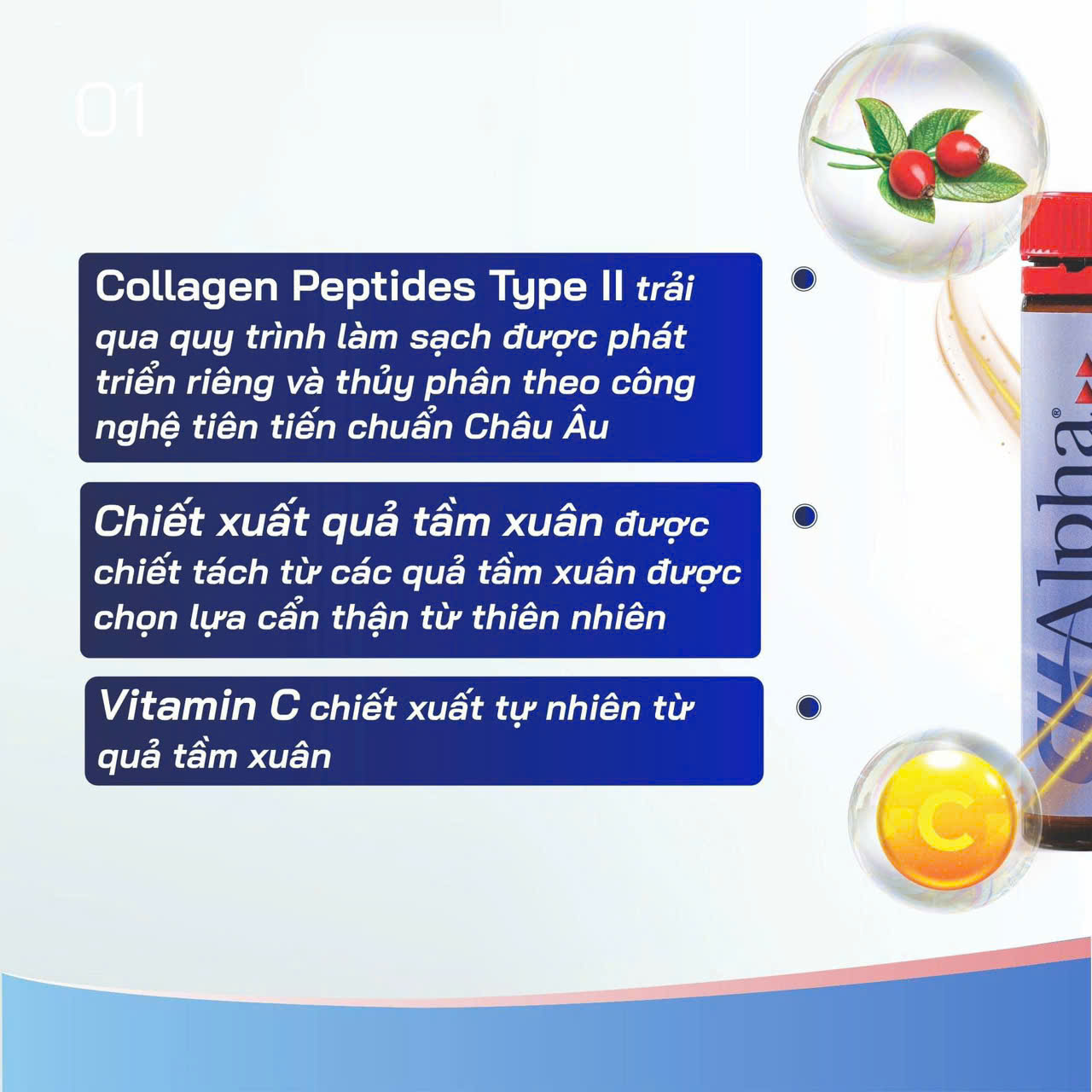 Thành phần của CH-Alpha Plus Collagen Đức – Giảm đau nhức, tái tạo và bảo vệ sụn khớp | eustore.com.vn