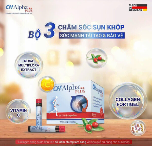 Ưu điểm nổi bật của CH-Alpha Plus Collagen Đức – Giảm đau nhức, tái tạo và bảo vệ sụn khớp | eustore.com.vn