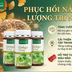 Viên uống bổ não Sanct Bernhard Ginkgo 75mg Đức hộp 240 viên