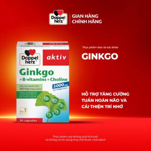 Viên uống Doppelherz Aktiv Ginkgo + B-Vitamine + Cholin 40 Viên