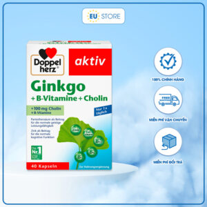 Viên uống Doppelherz Aktiv Ginkgo + B-Vitamine + Cholin 40 Viên